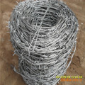 Professional Hot Dipped Galvanized Barbed Wire Fence